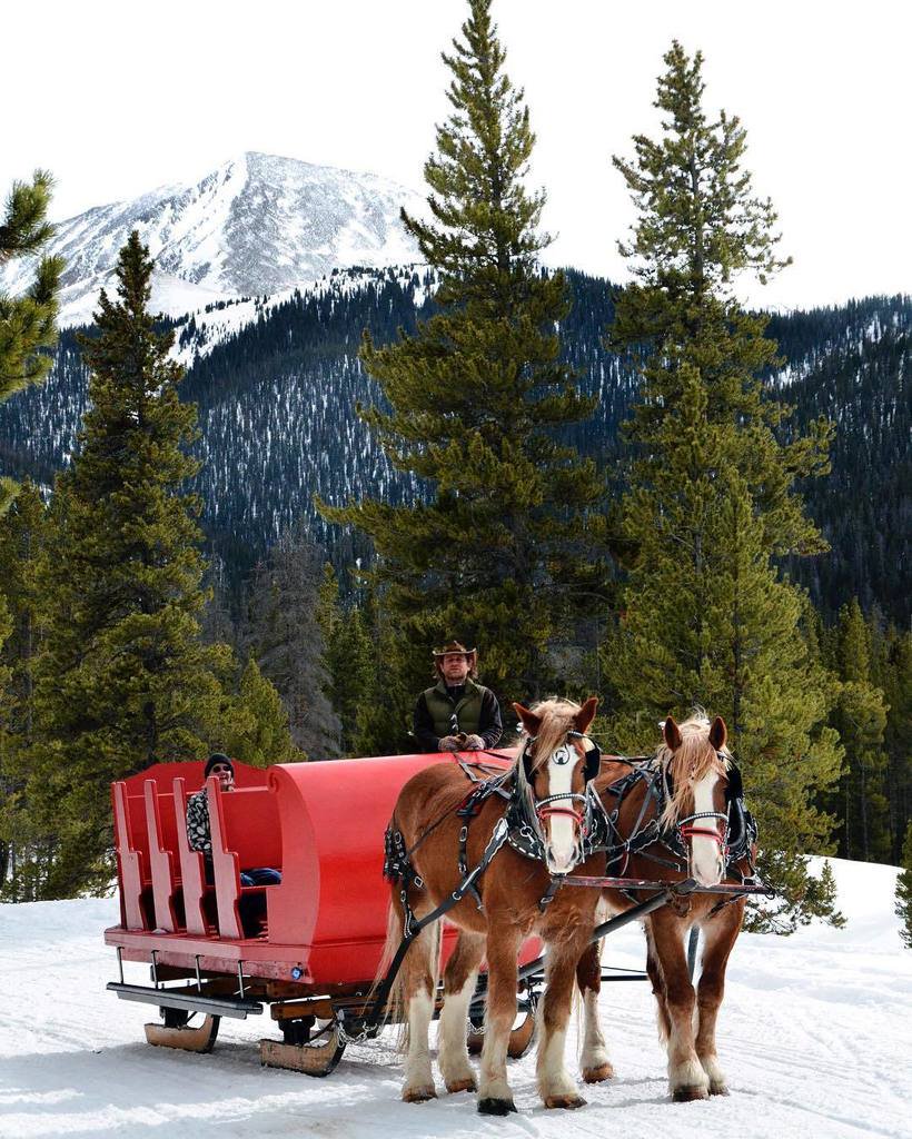 horse drawn sleigh